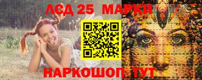 спиды Гатчина