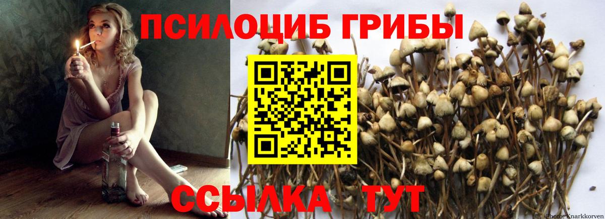 Галлюциногенные грибы ЛСД Мытищи